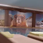 Отель Sonnalp